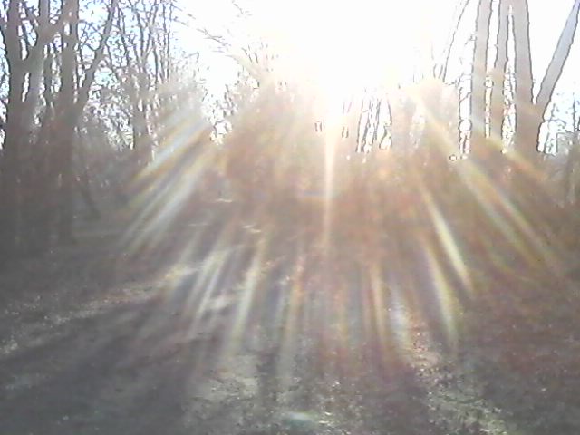 Лонтратова Галина