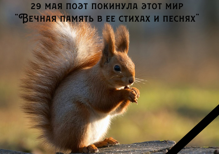 Галина Коротких 2