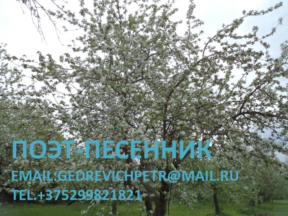 Петр Гедревич 1