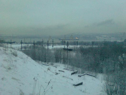 Павлиний Гена