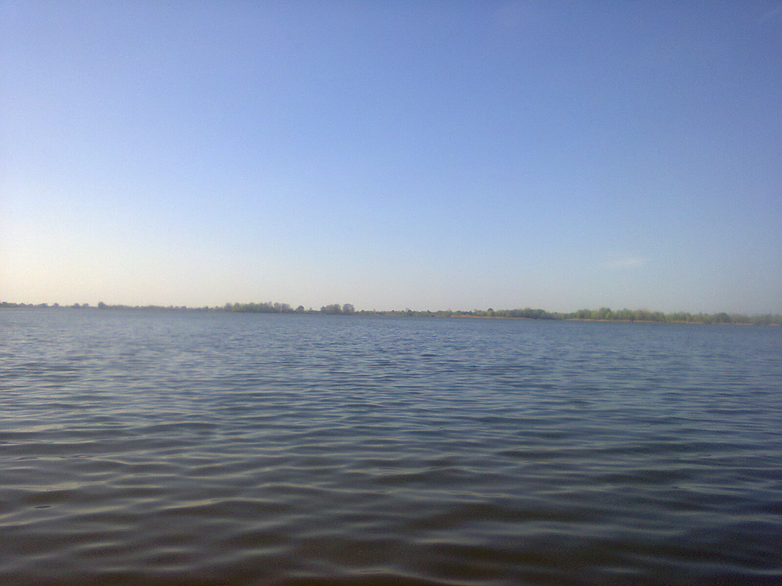 Максим Чалов