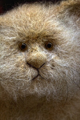 Глеб Федоров