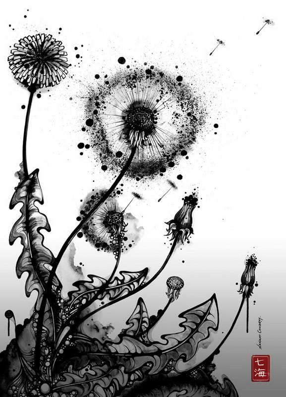 Анастазия Прокопович