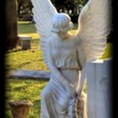 Горлица Скорбящая