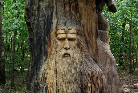 Алексей Руденко Граф