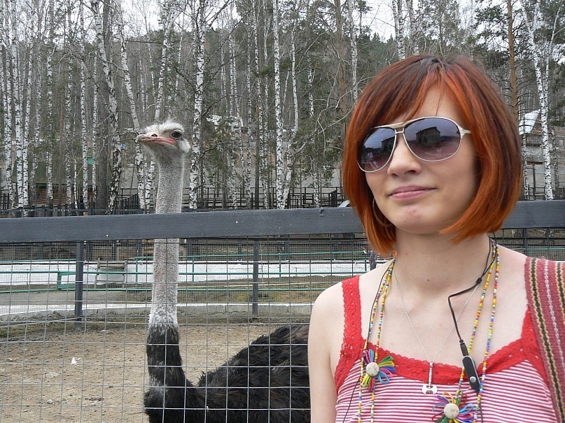 Рыжий Страус