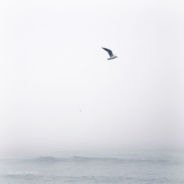 Денис Андреянов