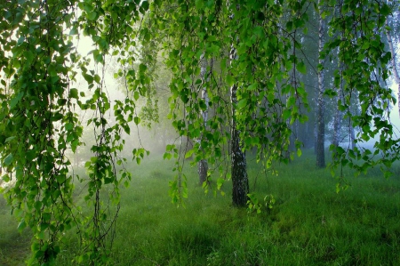 Александр Харчик