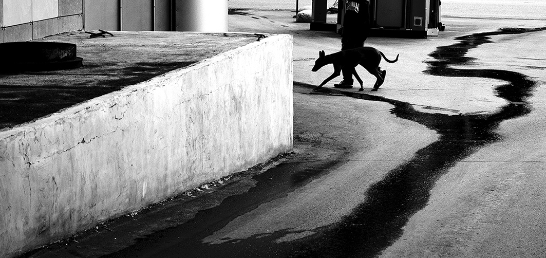 Евгений Ивачевский