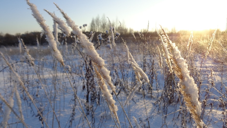 Фофанова Ирина