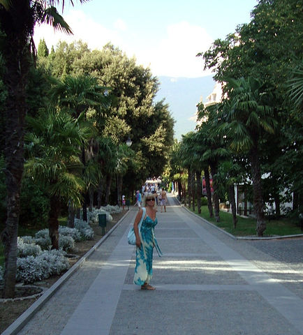 Ребро Адама2