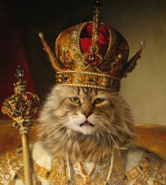 Темная Ночка