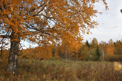 Шувалов Руслан