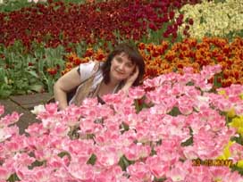 Логика Железная