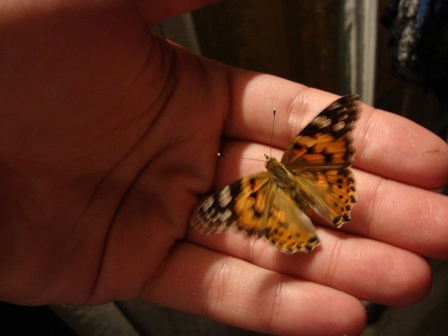 Бахтияр Джафаров