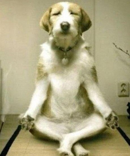 Николай Мирёнский