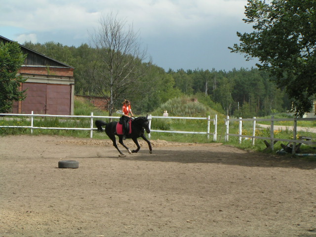 Мышонок Джерри