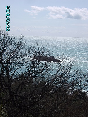 Евгения Лёзина