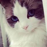 Екатерина Рабынина