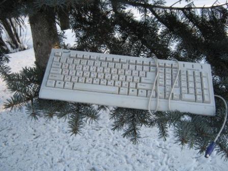 Клава Ёлкина