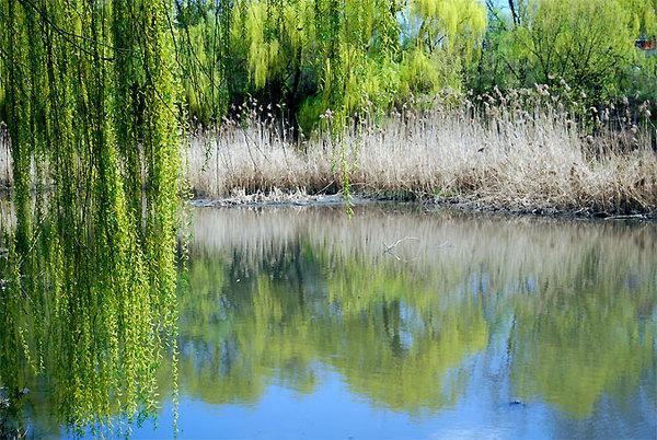 Сергей Поликарпович Гончаров