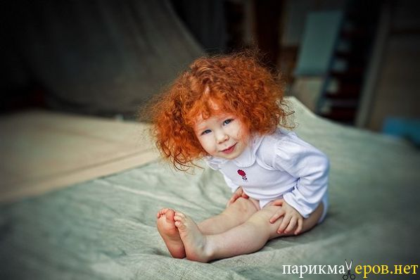 Кудряшка Кара