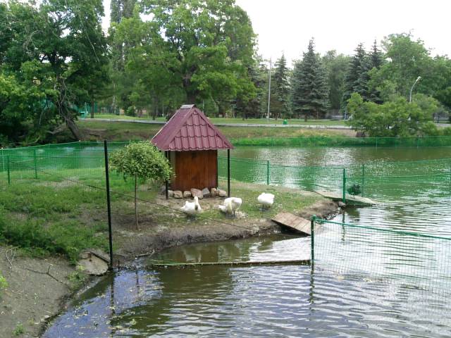 Таня Лисовенко