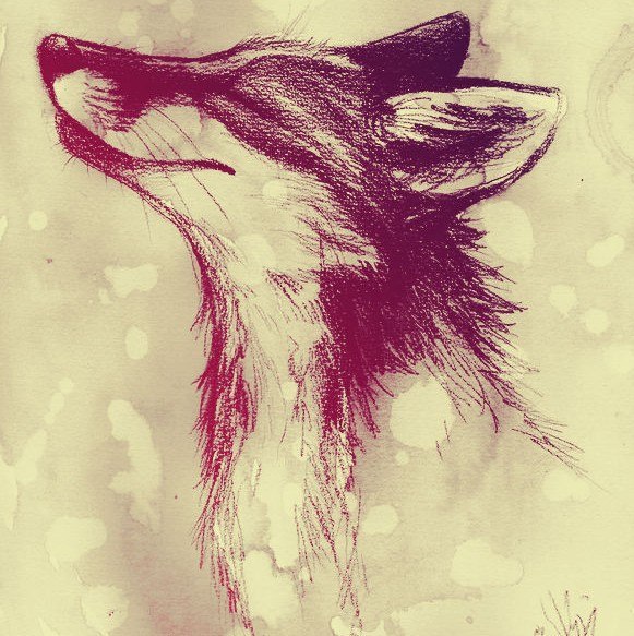 Лена Привет