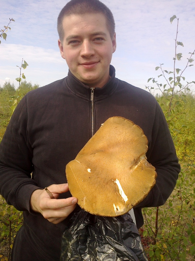 Лаврентий Бурмистров