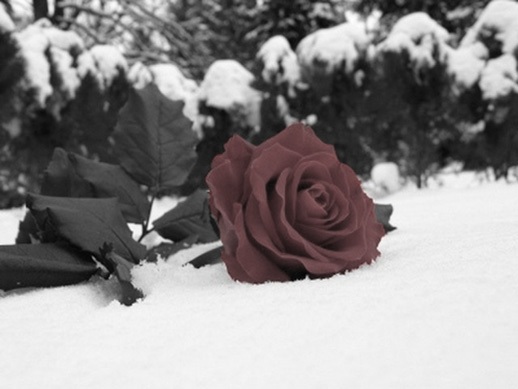 Лидия Натус