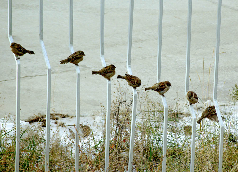 Овчинников Сергей Владимирович 2