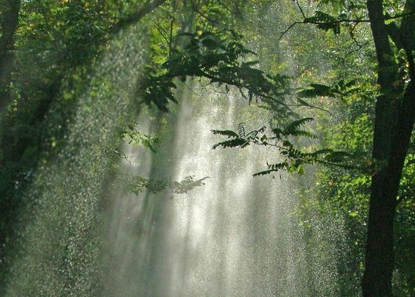 Солнечный Дождь 2