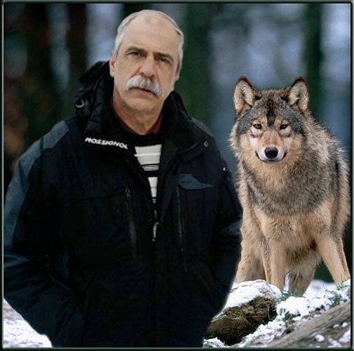 Владимир Швецов