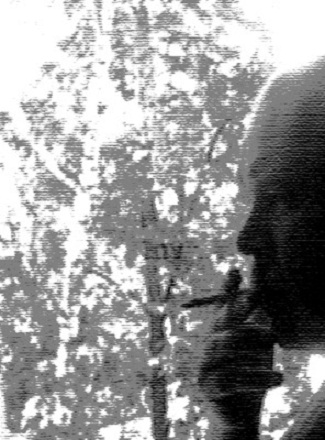 Петухов Михаил