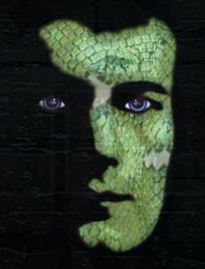 Миндстрэйнджер