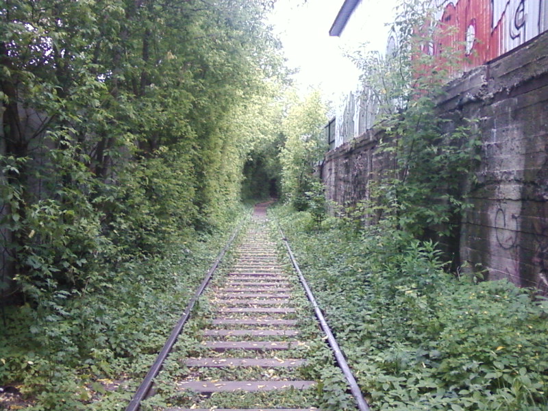 Монстрт Амадей