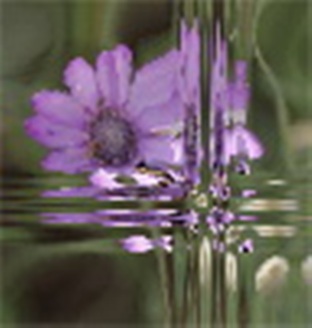 Ирина Клейменова