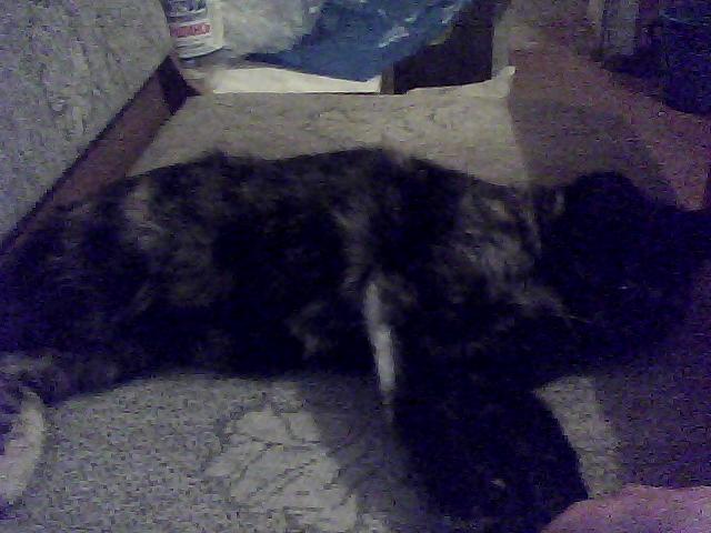 Мурка Львовна Полыковская