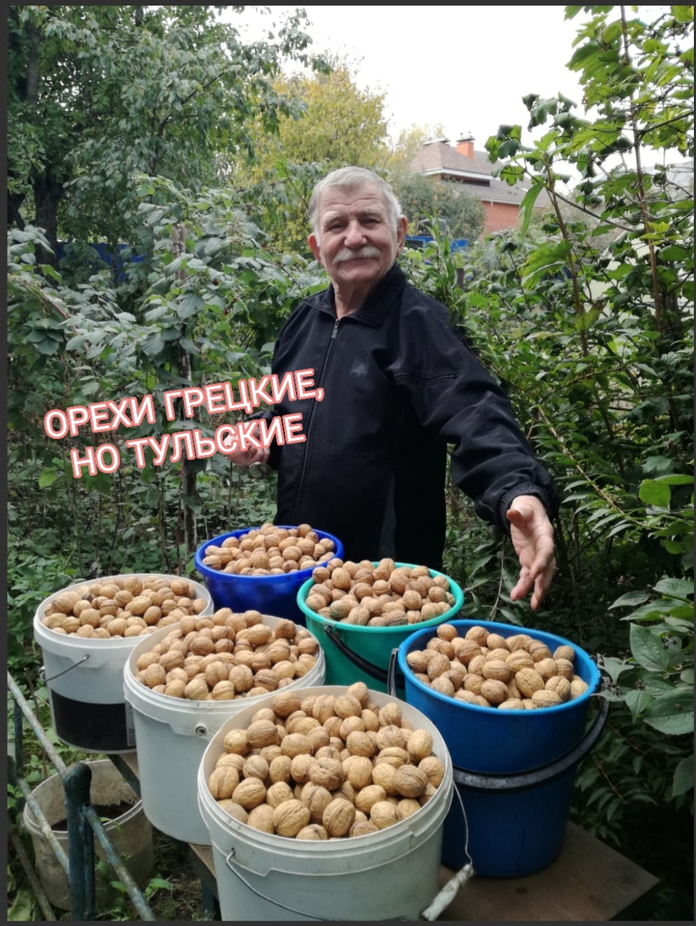 Василий Марценюк
