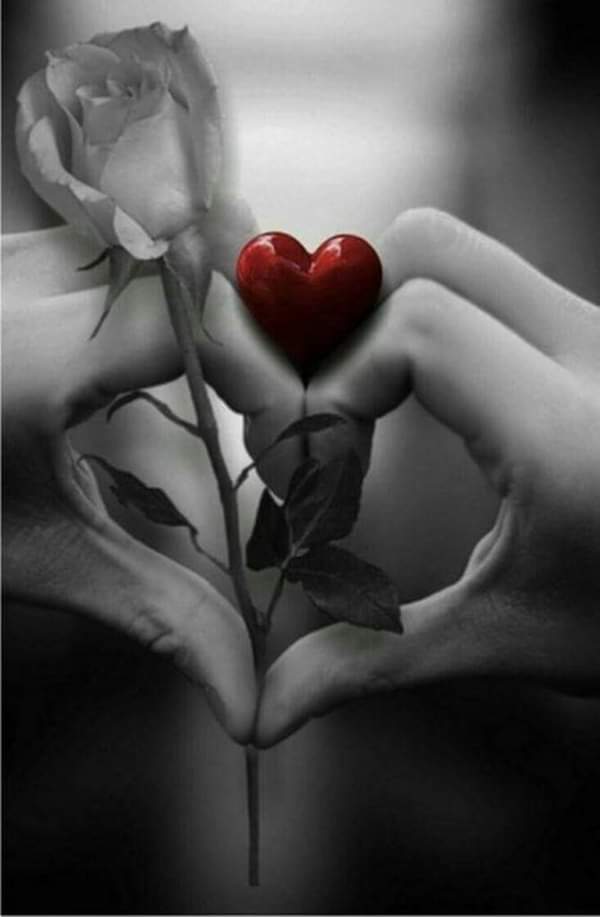 Надежда Верас