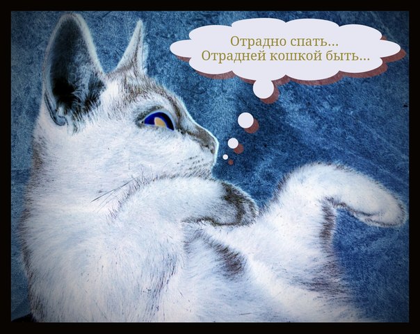 Налкон Хроносфер