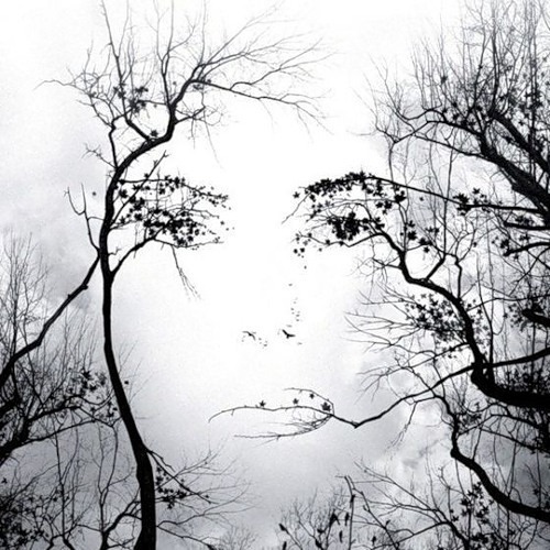 Саша Зимина