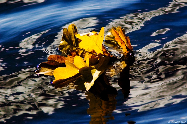 Хочу к Тебе