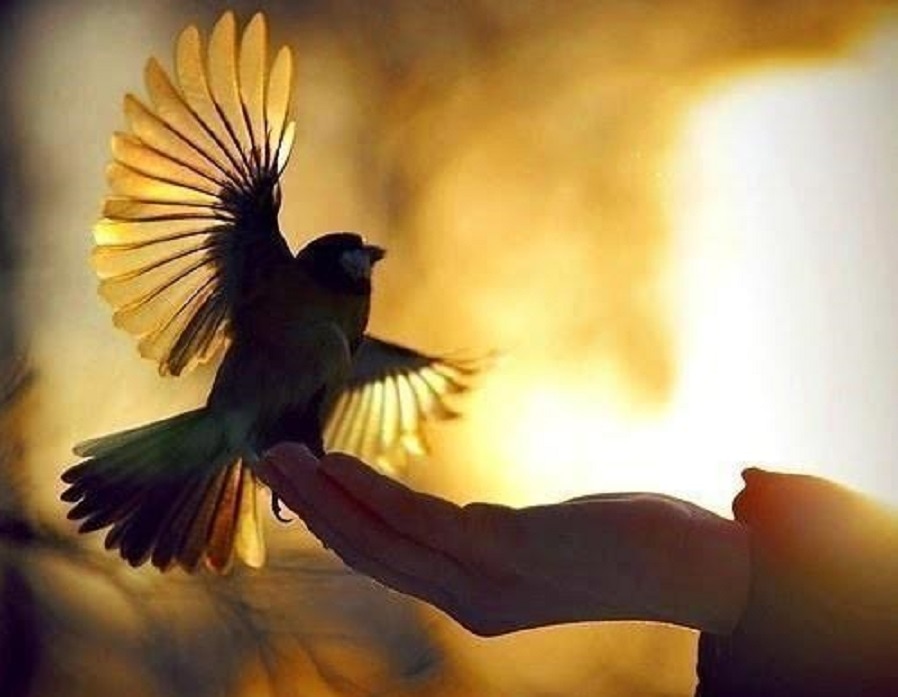 Наталья Сотникова 2