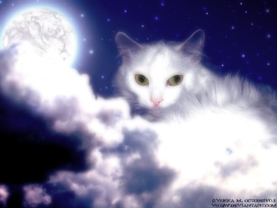 Нина Кечатова