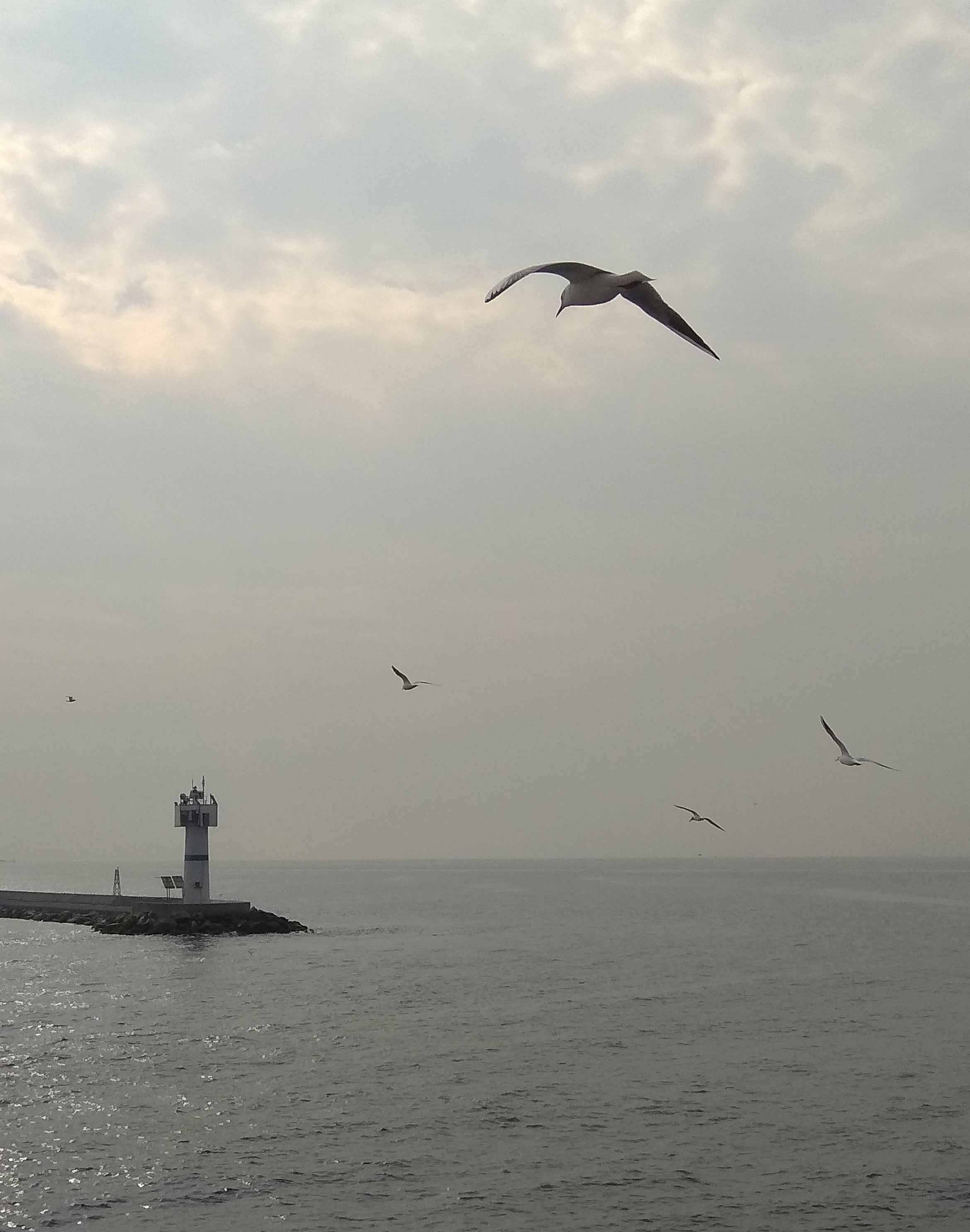 Неоставшаяся