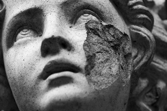 Светлана Дмитриева 3