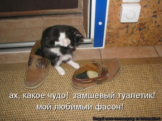 Кот Втапочках