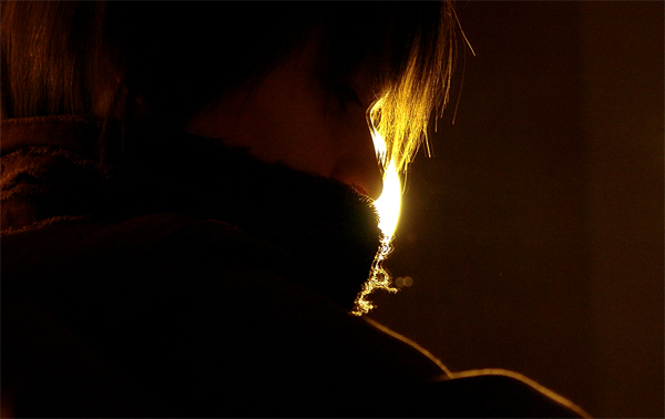 Богемный Кот