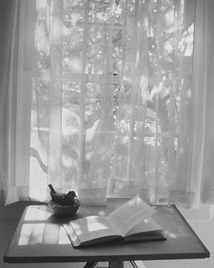 Сергей Зоткин